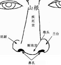 鼻子上有痣代表什么