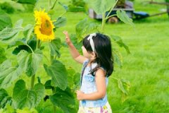 2020小雪节气出生女孩起名宜用字有哪些 鼠年女宝宝取名大全