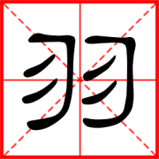 用羽字起名 羽在名字里的寓意女生