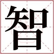 属火女孩取名带智字 智字取名高雅女孩名