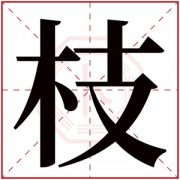 名字带枝的女孩名字 和枝字搭配的女孩名字
