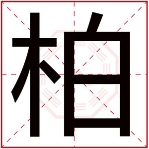 带柏字给男孩取名字 高雅男孩名字用柏字