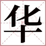 女孩名字带华字叫什么好 华字在女孩名字的寓意