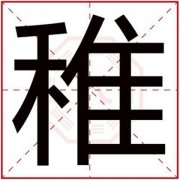 男孩取名字带稚字 稚字搭配什么取名好听
